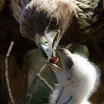 �� ���� �� ������ �� ����� ������