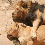 ����� ���� ��� ������ ����� ��� �� ��...