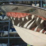 ���� ����� 