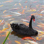 ����� ���� ...�� ���� ������ !