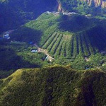 �����  ���������  ��� �� ��� ��������