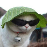 ���� �����... ����� ��� ����� �� ����...