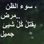 ��� ����