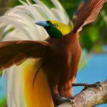 ��� ���� ����� ������� ���� ����� ���� ���� ����� ����� ������