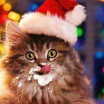 �������