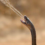 ����� ���� ������ ����� ���� ����