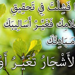 ���� �� ���� �� ������ ����� �� �� ��...