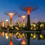 �������� ����