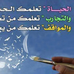 ���� ����� �� ������