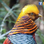 ������ ������ ���� ���� ������� ����� ��� �� ���� ������ �����