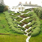 ����� �������� �������  ��������