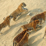 �� ���� ������