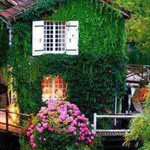 �� ������� �� �����