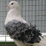 ����� �� ������ ���� �� ������ 