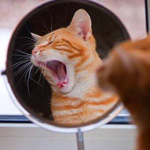 �� �� ����� !!!!