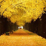 ���� ����� �� ������� ������ ������