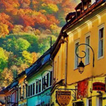 ���� �������