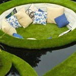 ���� �����  ��� �� �������