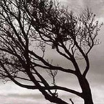 ���� �����