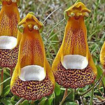 �� ���� �����ѡ ����   ������ ������ .. ���� �� ������ ��������� !