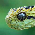 �� ���� ����� ������� ������� ����� ������ ���