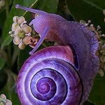 ������� ���������... �����