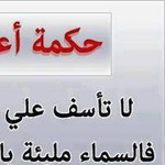 ���� ������� ������