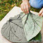 ���� ������� ���