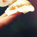 ���� ����� ������