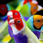 ������ �� ������ ������� ��� ���� ������