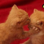 �� ���� ��� ������ �����  ��� ���� ��...