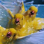 �� ������