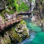 ����� ������� ���� ��������