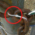 ���� �����