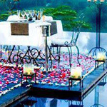 ����� ����������