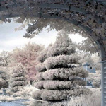 ����� �����