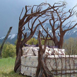 ���� ������ 