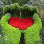 ������ ���