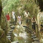 �� ���� ������� ������� ��� ������