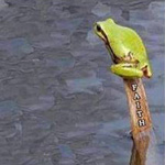 ���� �� ���� �����