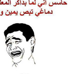 ���� ���� ���