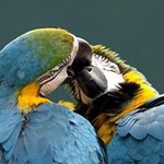 �� ��� ������!