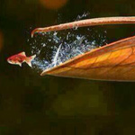 ����� ����� �� ������