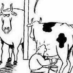 �������... ������