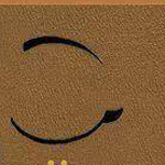 ����� ���� ��� ������ :-)