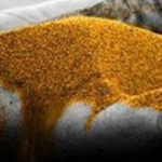 ����� ��� �� ������� ��� ��� ���� �� ���� ���� ��� �� ���