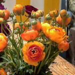 ����� ���� �� �����