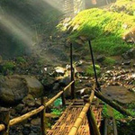 ��� �������� ....... �������