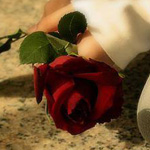 ����� �� ����� ������ ������� ���� ����� ������ ��������