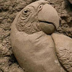 ������� �����